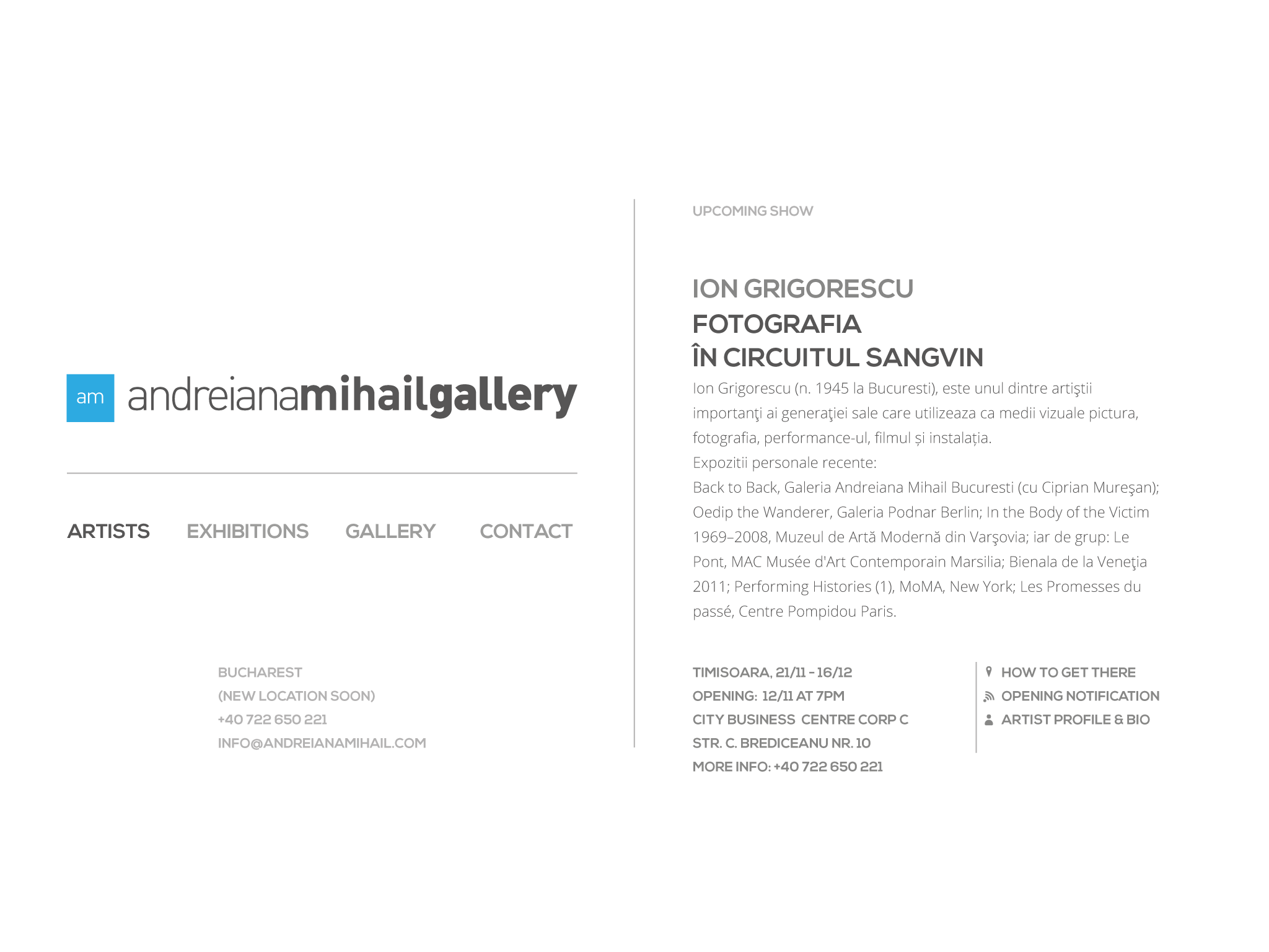 Andreiana Mihail Gallery. Romanian Contemporary Art. Ion Grigorescu, Ciprian Muresan, Razvan Botis, Adrian Ghenie, Matei Bejenaru